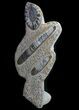 Fossil Goniatite & Orthoceras Sculpture - #71649-1